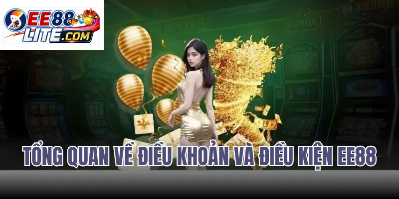 Tổng Quan Về Điều Khoản Và Điều Kiện EE88