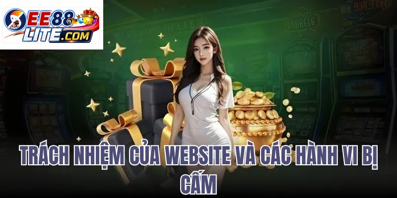 Trách Nhiệm Của Website Và Các Hành Vi Bị Cấm