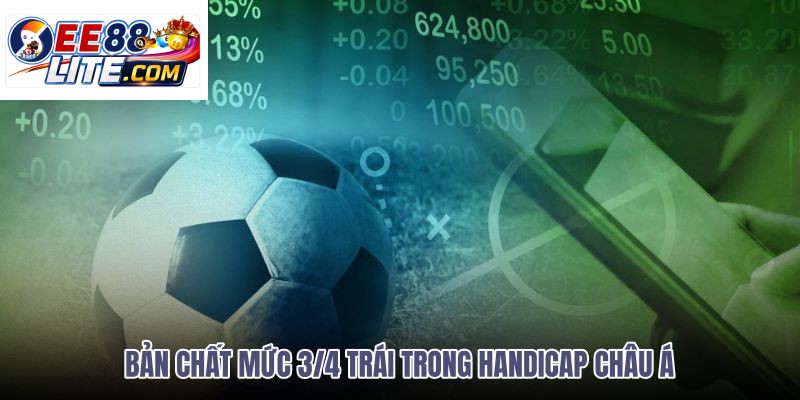 ban-chat-muc-34-trai-trong-handicap-chau-a ban-chat-muc-34-trai-trong-handicap-chau-a