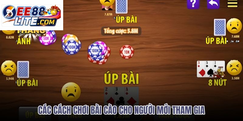 cac-cach-choi-bai-cao-cho-nguoi-moi-tham-gia