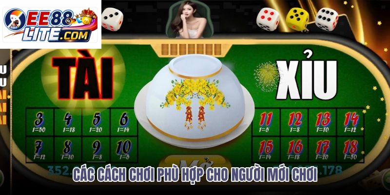 cac-cach-choi-phu-hop-cho-nguoi-moi-choi cac-cach-choi-phu-hop-cho-nguoi-moi-choi
