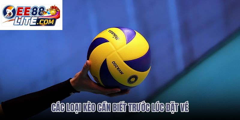 cac-loai-keo-can-biet-truoc-luc-dat-ve