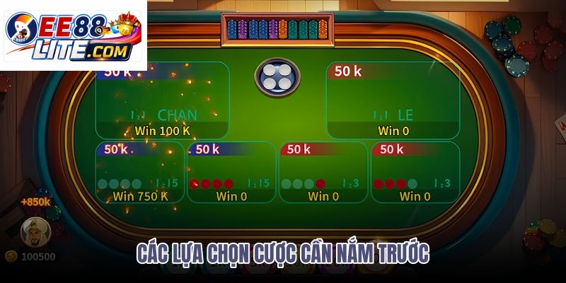 cac-lua-chon-cuoc-can-nam-truoc