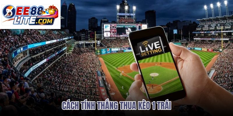 cach-tinh-thang-thua-keo-1-trai cach-tinh-thang-thua-keo-1-trai