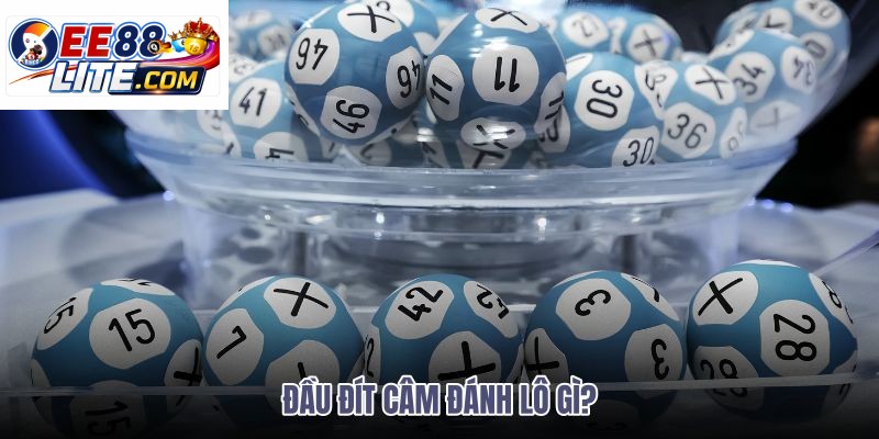 đầu đít câm đánh lô gì