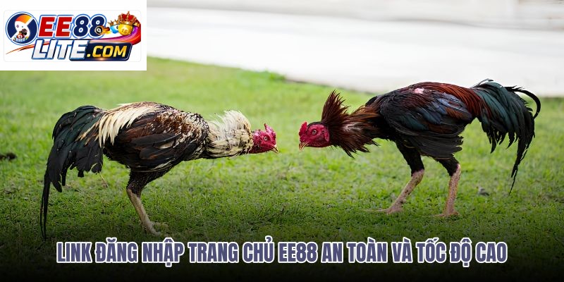 link-dang-nhap-trang-chu-ee88-an-toan-va-toc-do-cao link-dang-nhap-trang-chu-ee88-an-toan-va-toc-do-cao