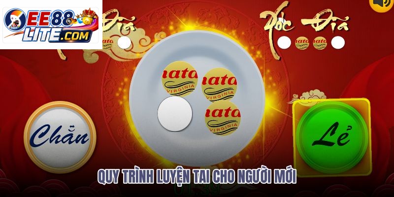 quy-trinh-luyen-tai-cho-nguoi-moi