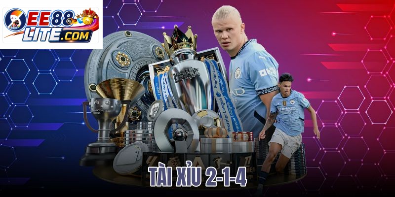 tài xỉu 2-1-4