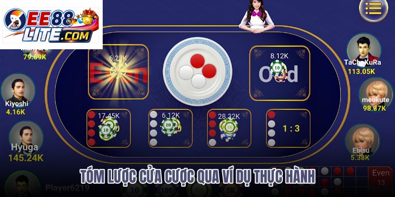 tom-luoc-cua-cuoc-qua-vi-du-thuc-hanh